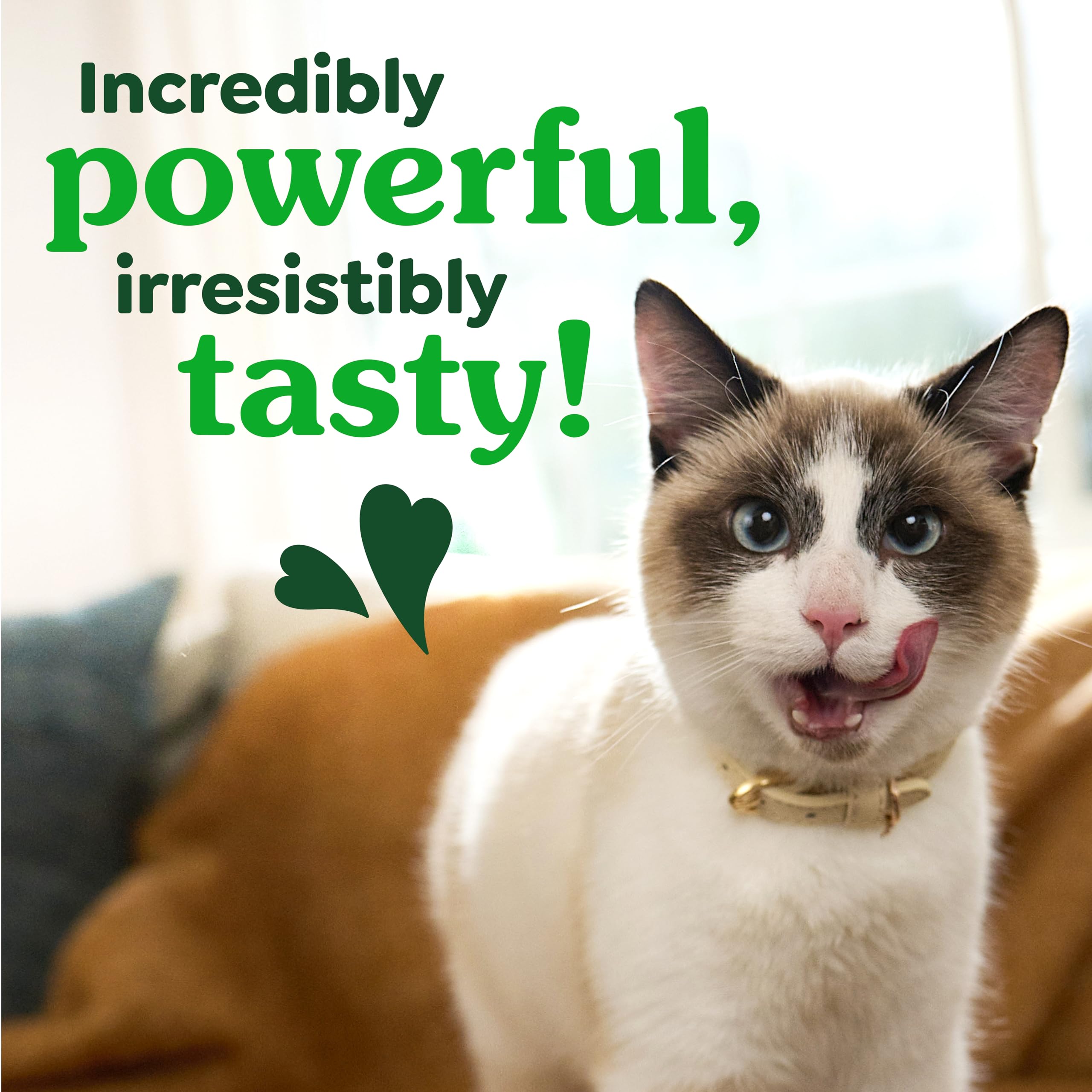 Feline Greenies Dental Cat Treats Tuna Flavor for Adult Cats