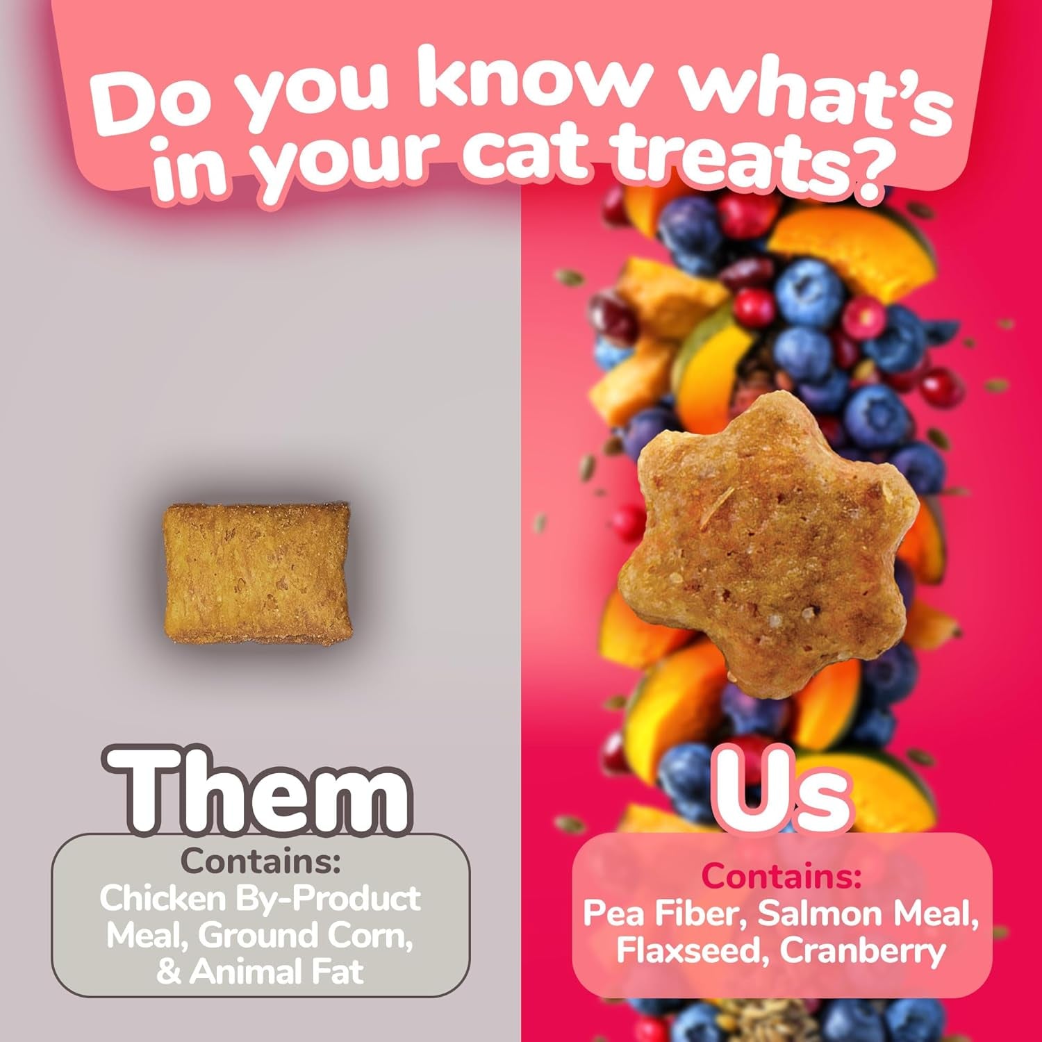 Crunchy Salmon Cat Treats with Superfoods, Low Calorie
