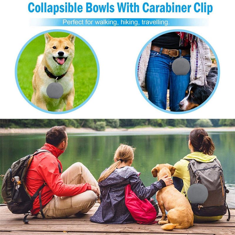 Collapsible Double Pet Bowl Set with Non-Slip Silicone Mat