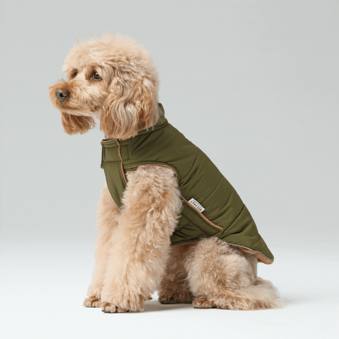 Reversible Dog Jacket with Polar Fleece Lining and Reflective Trim