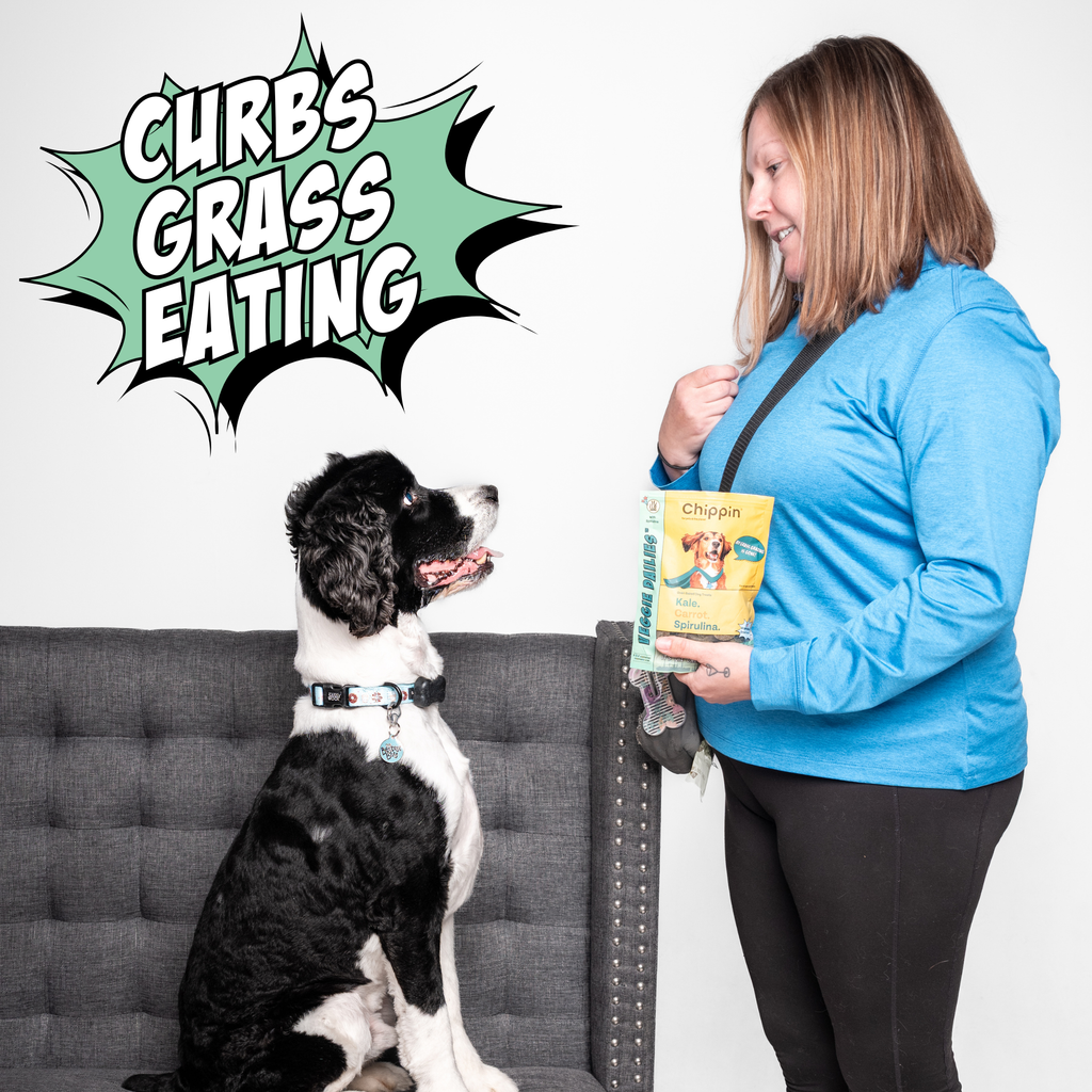 Crunchy Cookie Bundle for Dogs – Superfood & Veggie Treat Mix