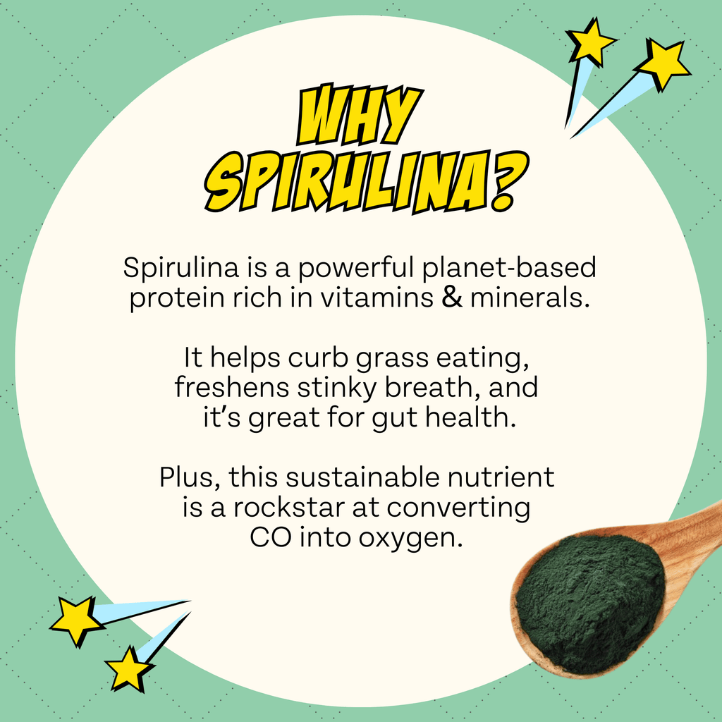 Protein Starter Pack Dog Treats – Cricket, Spirulina & Silver Carp