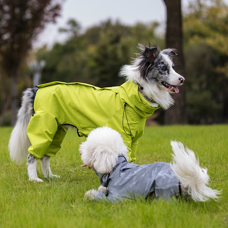 Sporty Four-Leg Dog Outfit in Silver or Emerald Green, Polyester