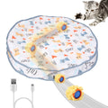 Interactive Rolling Ball Cat Toy with Rechargeable Battery