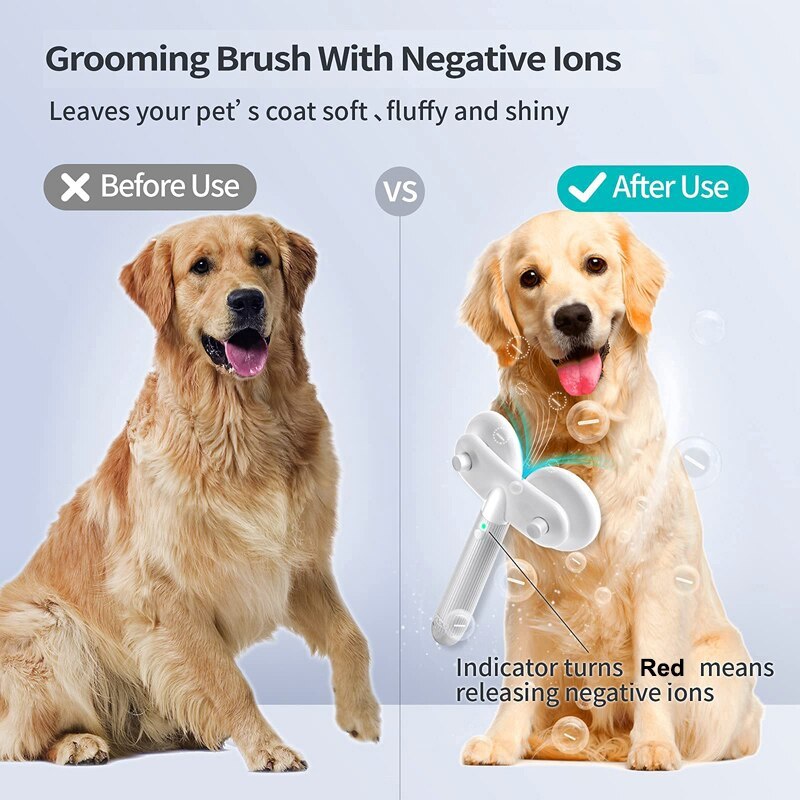 Dual-Head Pet Brush with Negative Ion Technology