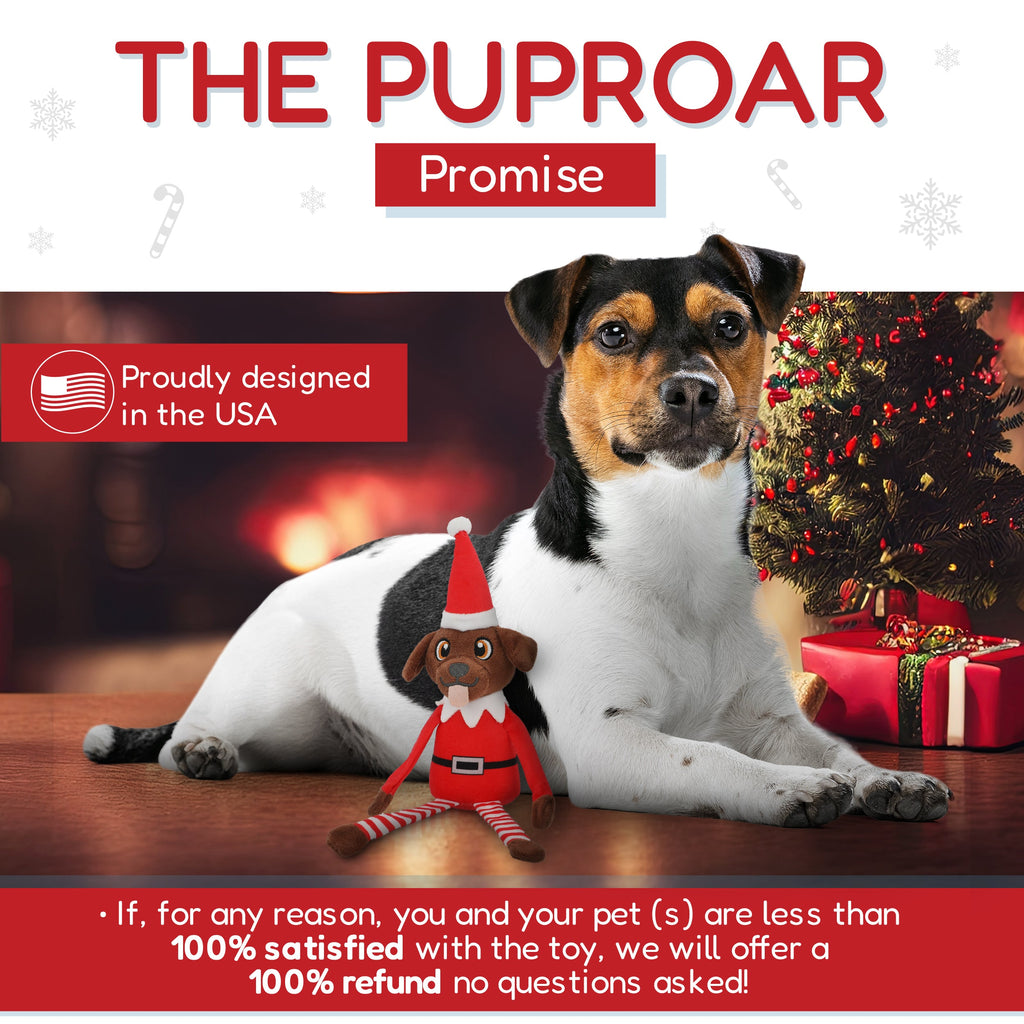 Pooch on a Perch Elf Dog Toy with Squeaker and Crinkle Paper