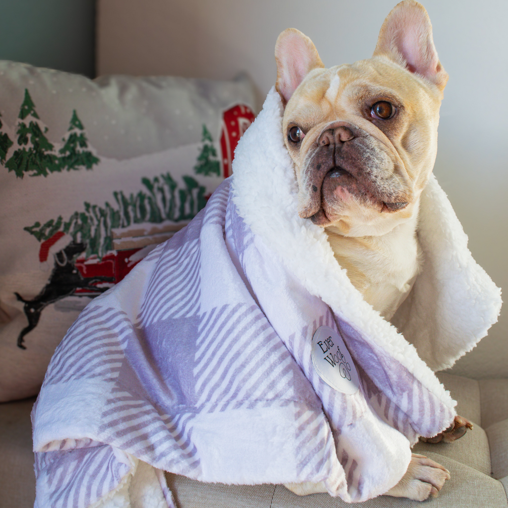 Sugar Plum Dog Blanket – Double-Sided Microfiber & Sherpa, 70x100cm