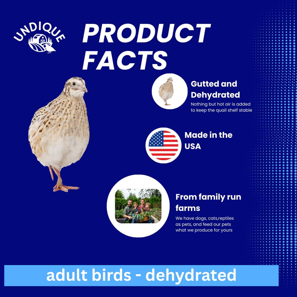 Dehydrated Whole Quail Treat for Dogs, Birds, and Exotic Pets