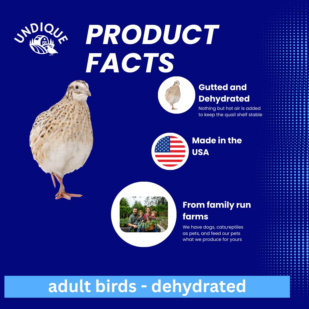 Dehydrated Whole Quail Treat for Dogs, Birds, and Exotic Pets