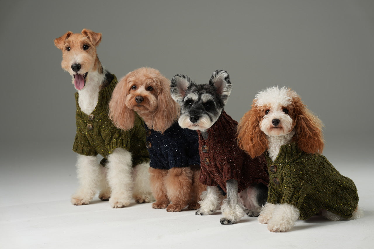 High-Neck Textured Knit Dog Sweater with Chest Buttons