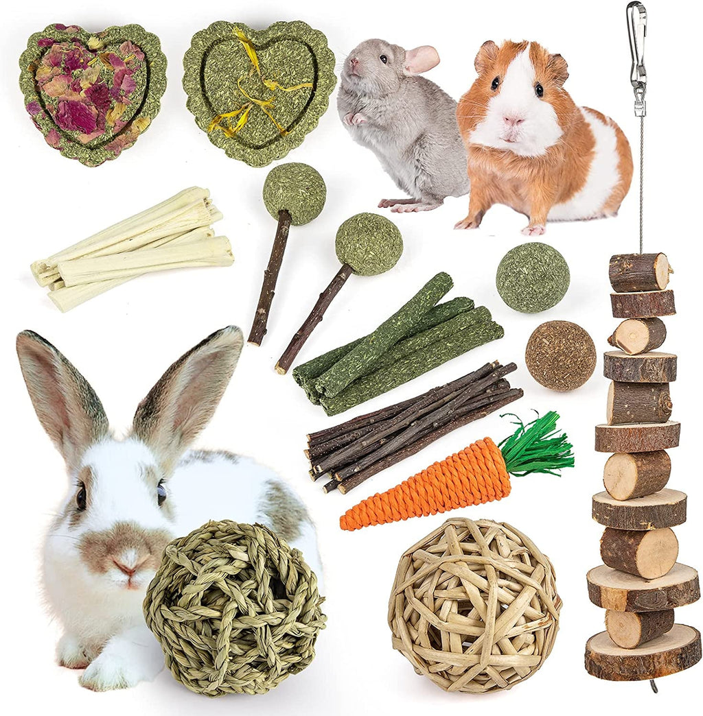 Natural Chew Toy and Treat Set for Small Pets, 13 Pieces