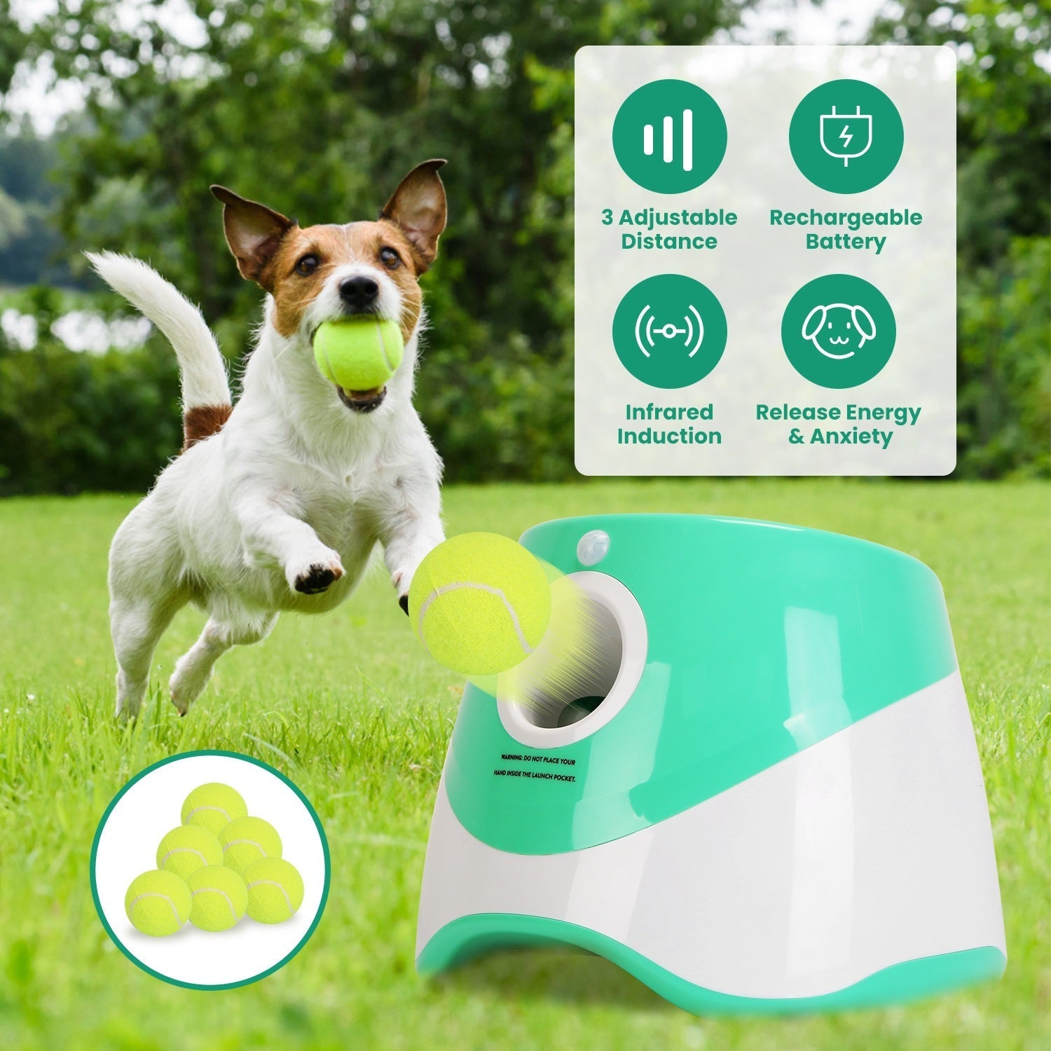 Automatic Ball Launcher for Small to Medium Dogs with 6 Tennis Balls