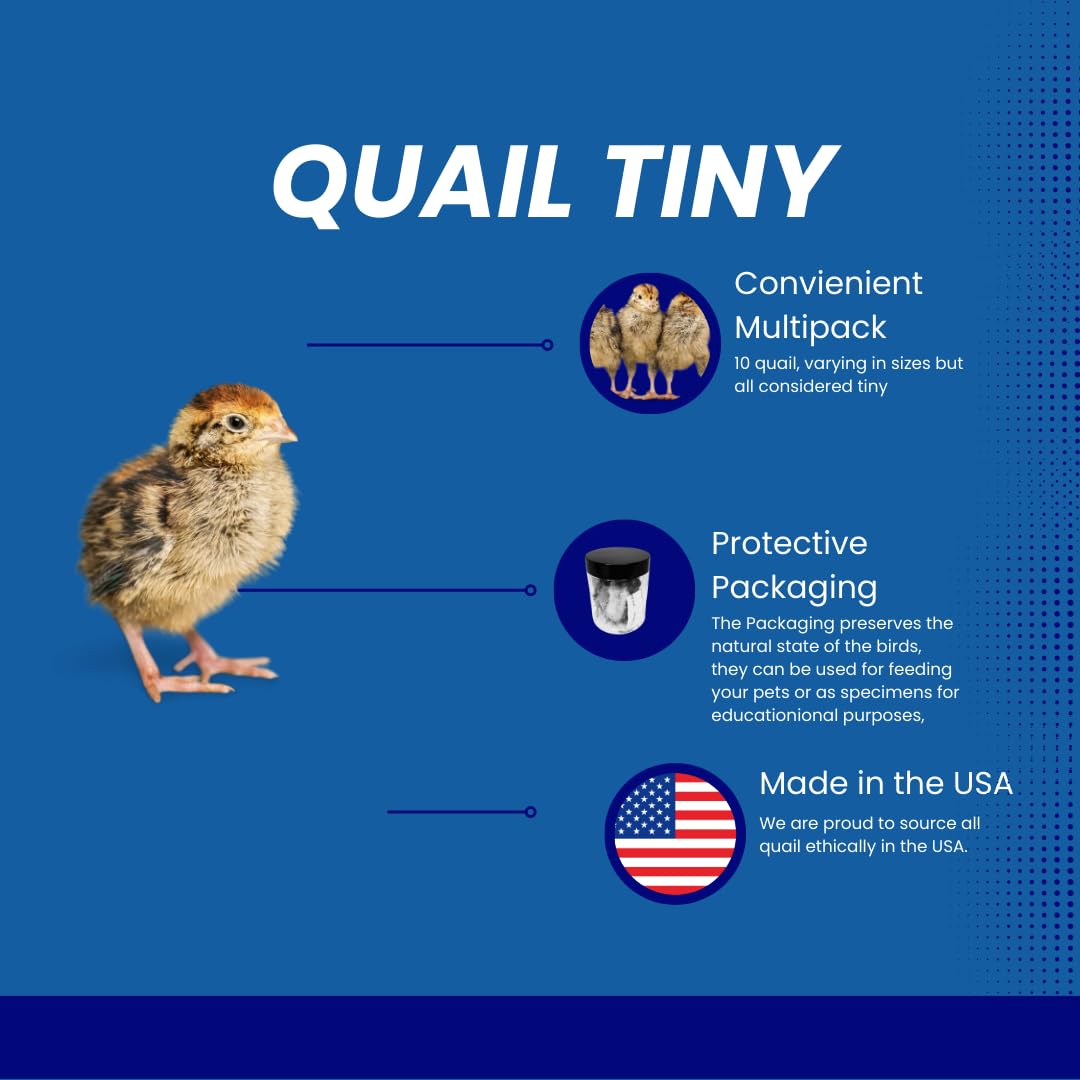 Quail Bites Pet Treats for Small Dogs and Cats