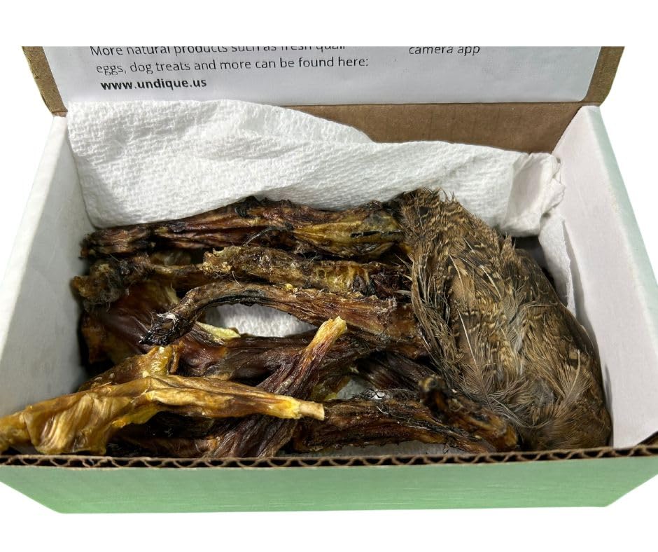 Quail Training Treat Kit for Medium & Large Dogs