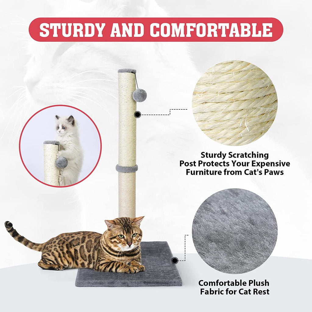 31" Cat Scratching Post with Plush Base and Natural Sisal