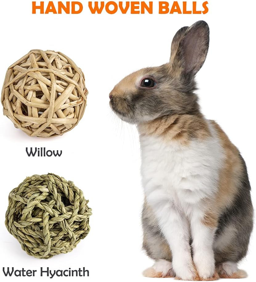 Natural Chew Toy and Treat Set for Small Pets, 13 Pieces