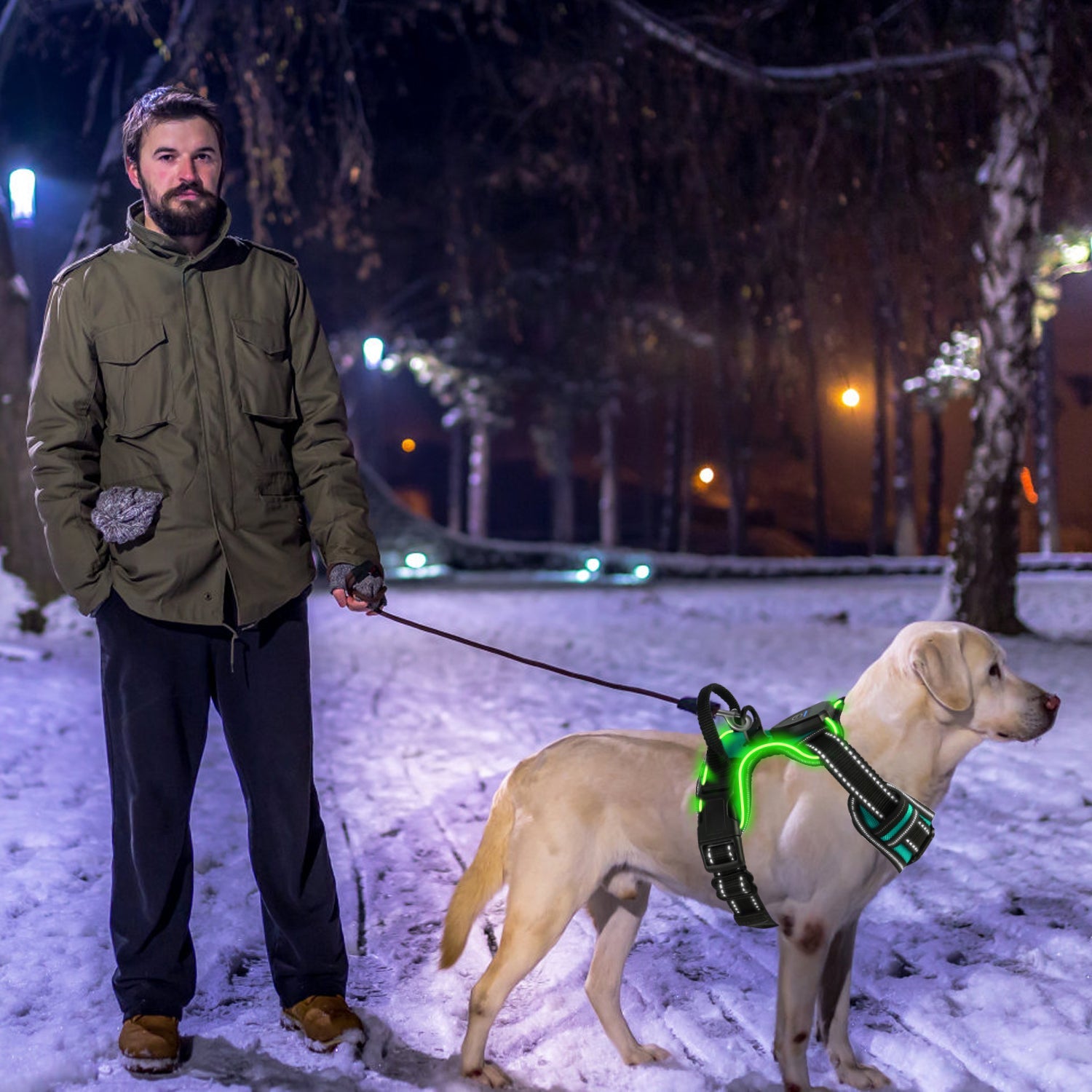 Rechargeable LED Dog Harness with No-Pull Design