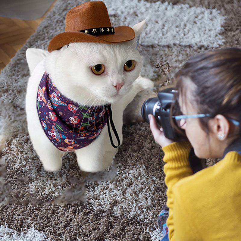 Star Cowboy Hat for Cats and Small Dogs, Adjustable Fit