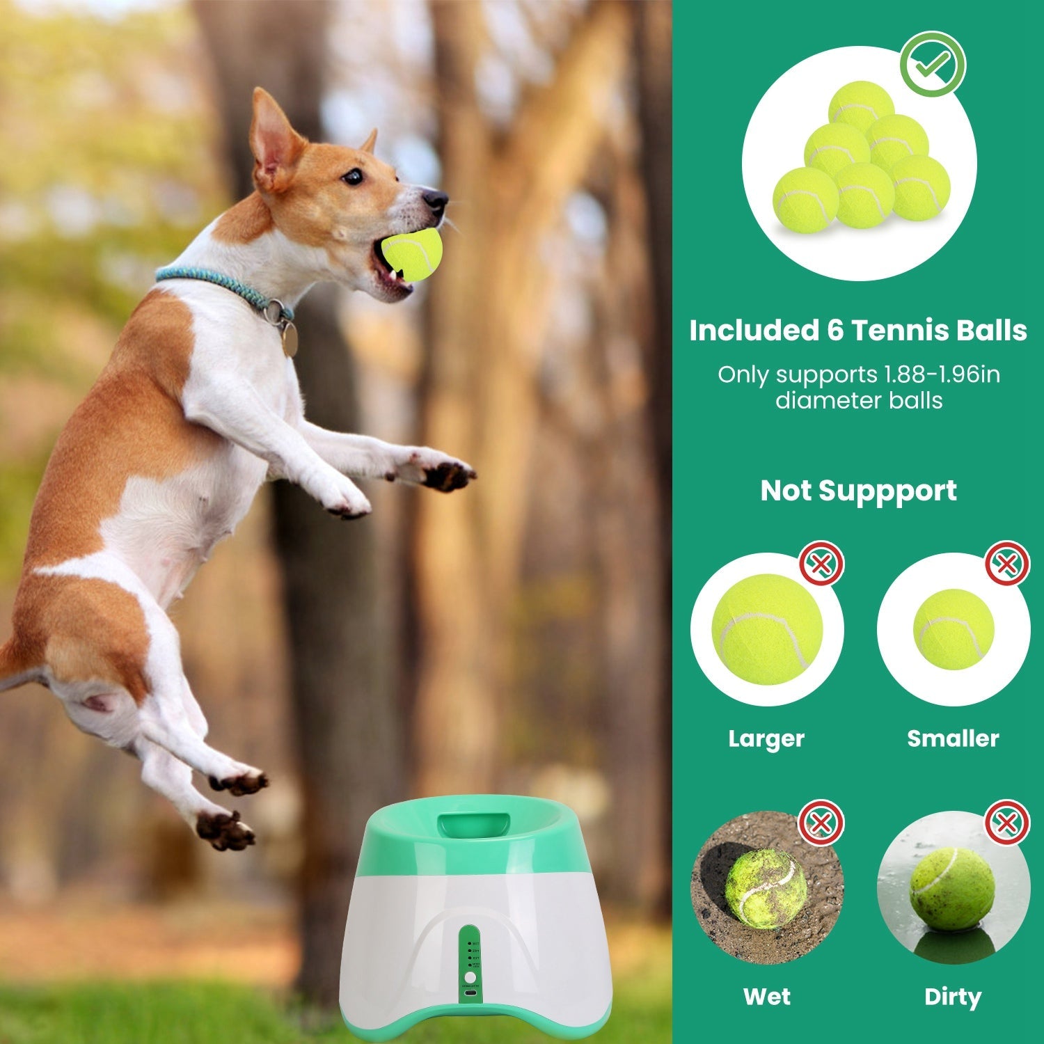 Automatic Ball Launcher for Small to Medium Dogs with 6 Tennis Balls