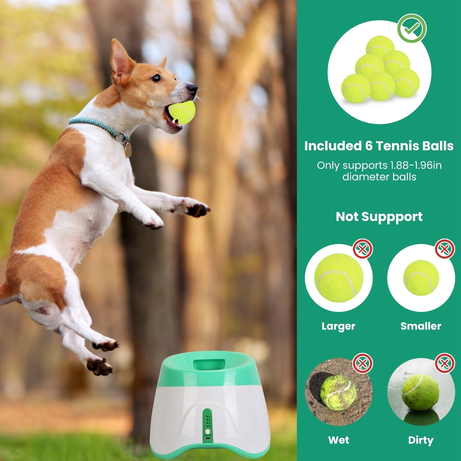 Automatic Ball Launcher for Small to Medium Dogs with 6 Tennis Balls