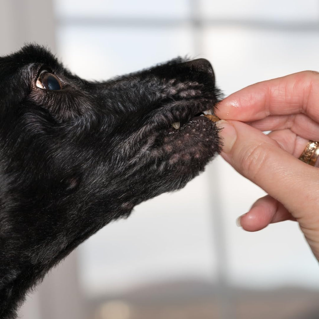 Undique Quail Crunch Bites Organic Dog Treats