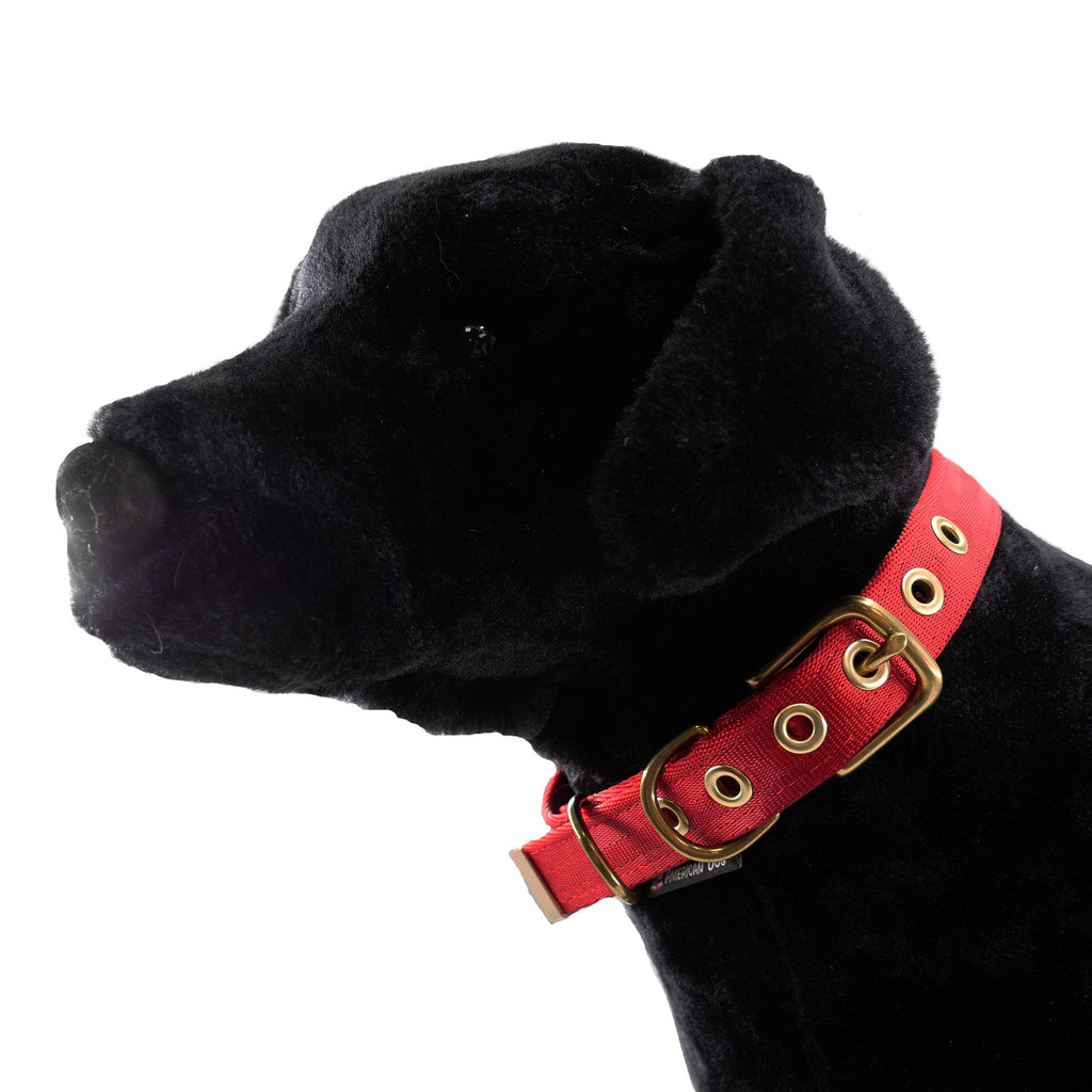 Seatbelt Dog Collar – Automotive-Grade Webbing, Brass Hardware
