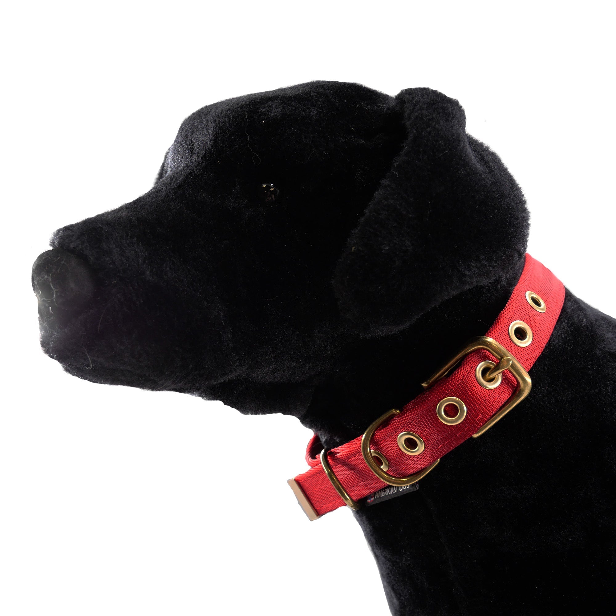 Seatbelt Dog Collar – Automotive-Grade Webbing, Brass Hardware