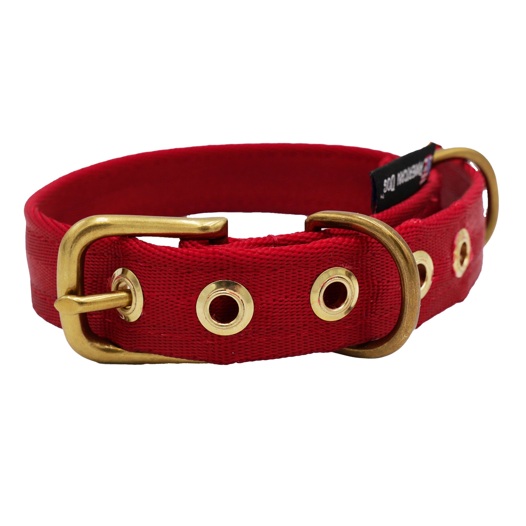 Seatbelt Dog Collar – Automotive-Grade Webbing, Brass Hardware