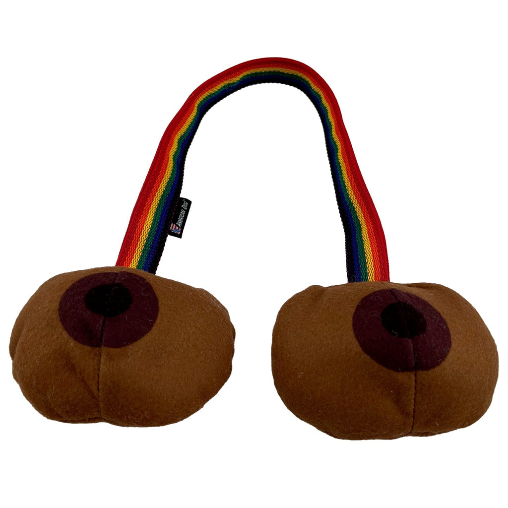 Rainbow TaTa Tug Dog Toy – Soft Fleece, Squeaks and Floats