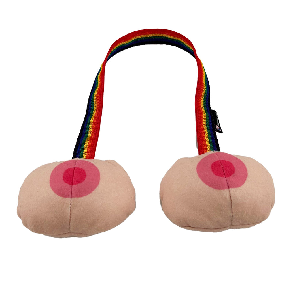 Rainbow TaTa Tug Dog Toy – Soft Fleece, Squeaks and Floats