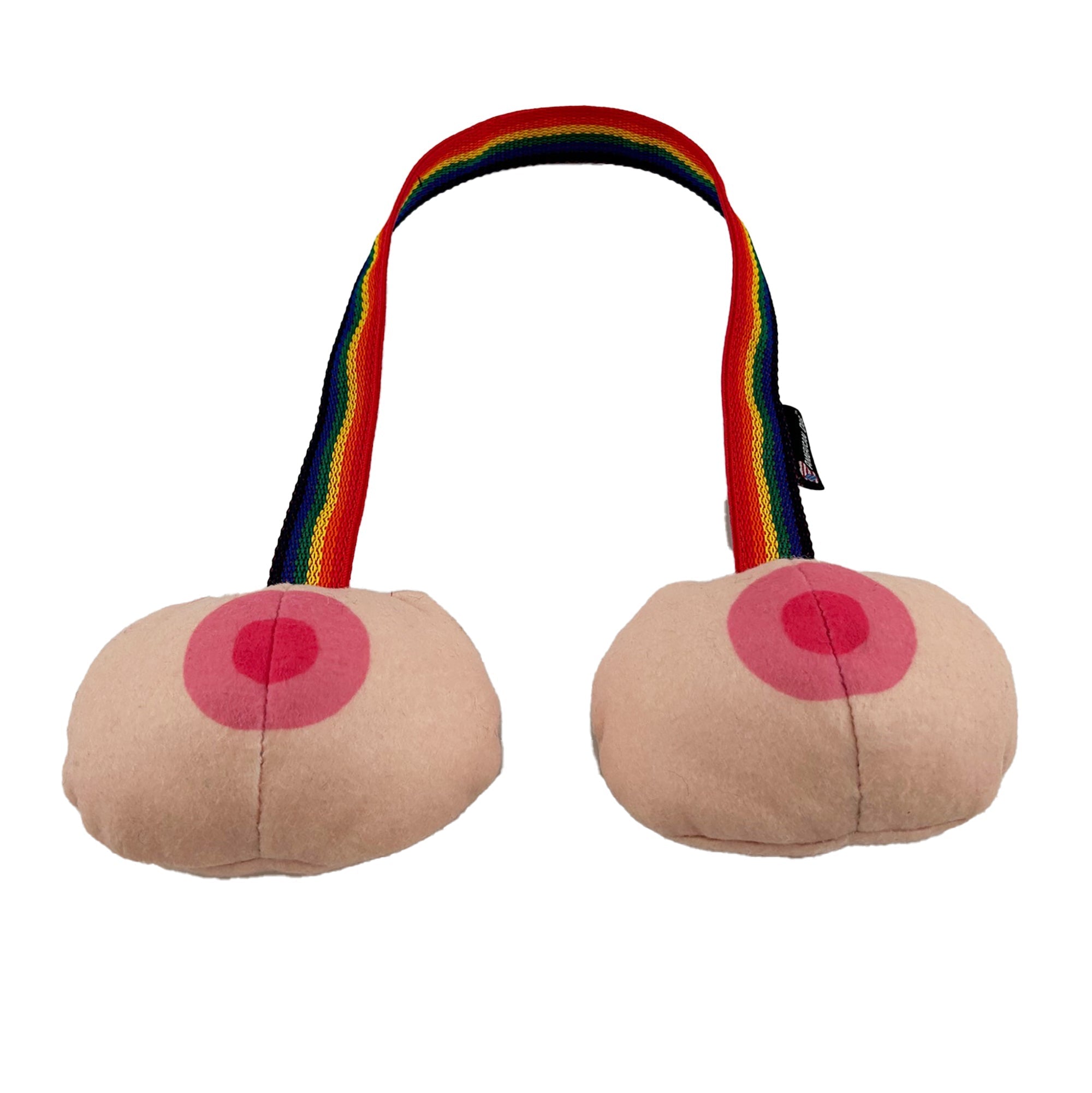 Rainbow TaTa Tug Dog Toy – Soft Fleece, Squeaks and Floats