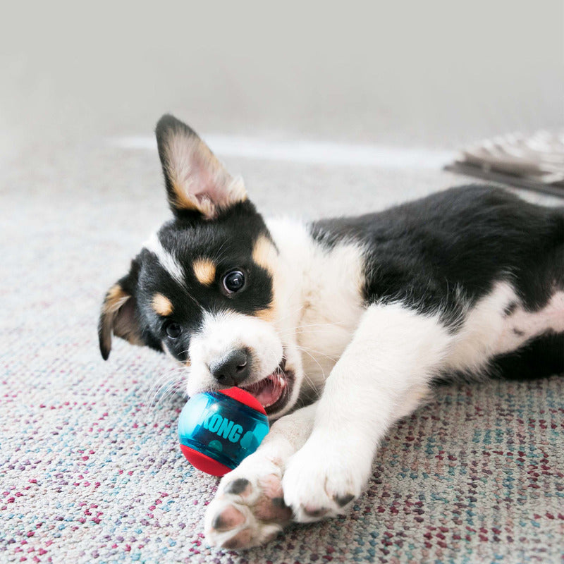 Dog Fetch Toy with Unpredictable Bounce and Squeaker