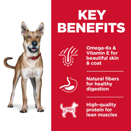 Hill's Science Diet Adult Dry Dog Food, 1–6 Years