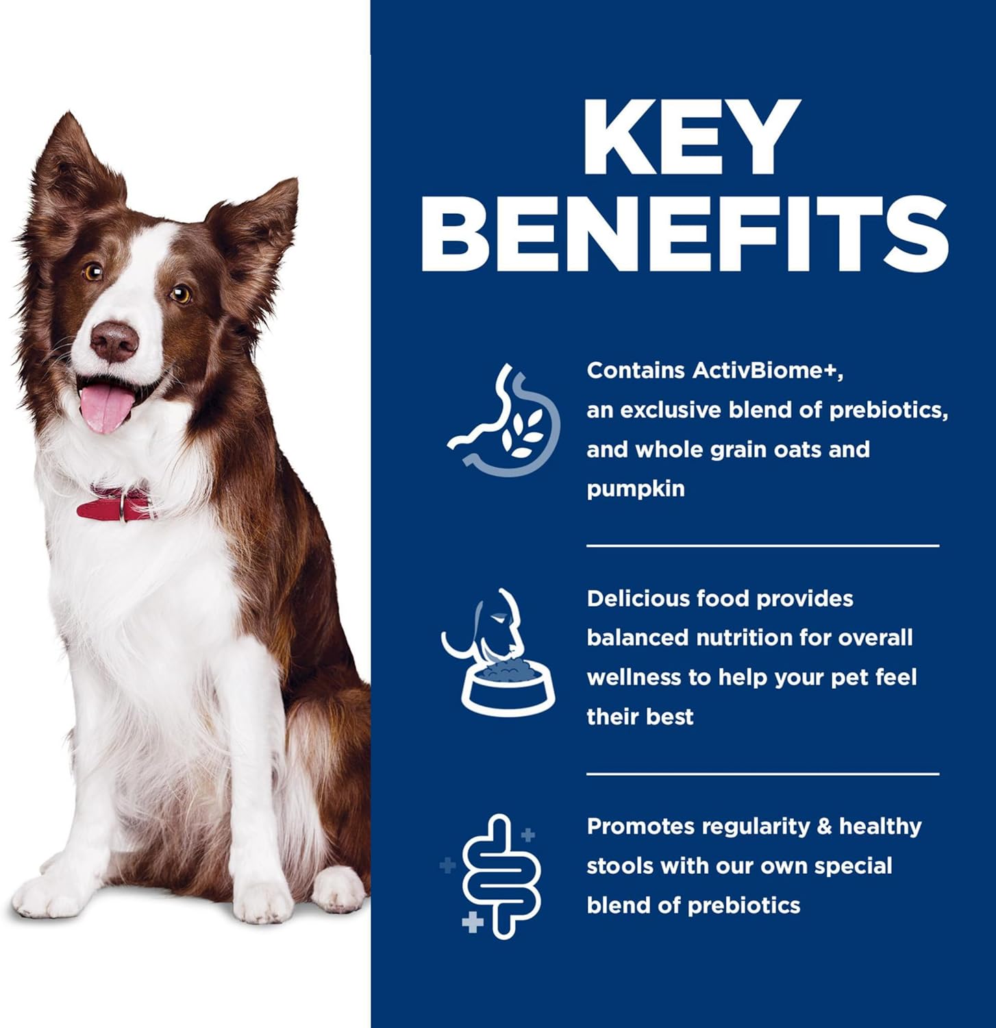 Digestive Health Dog Food with Prebiotics, Oats & Pumpkin