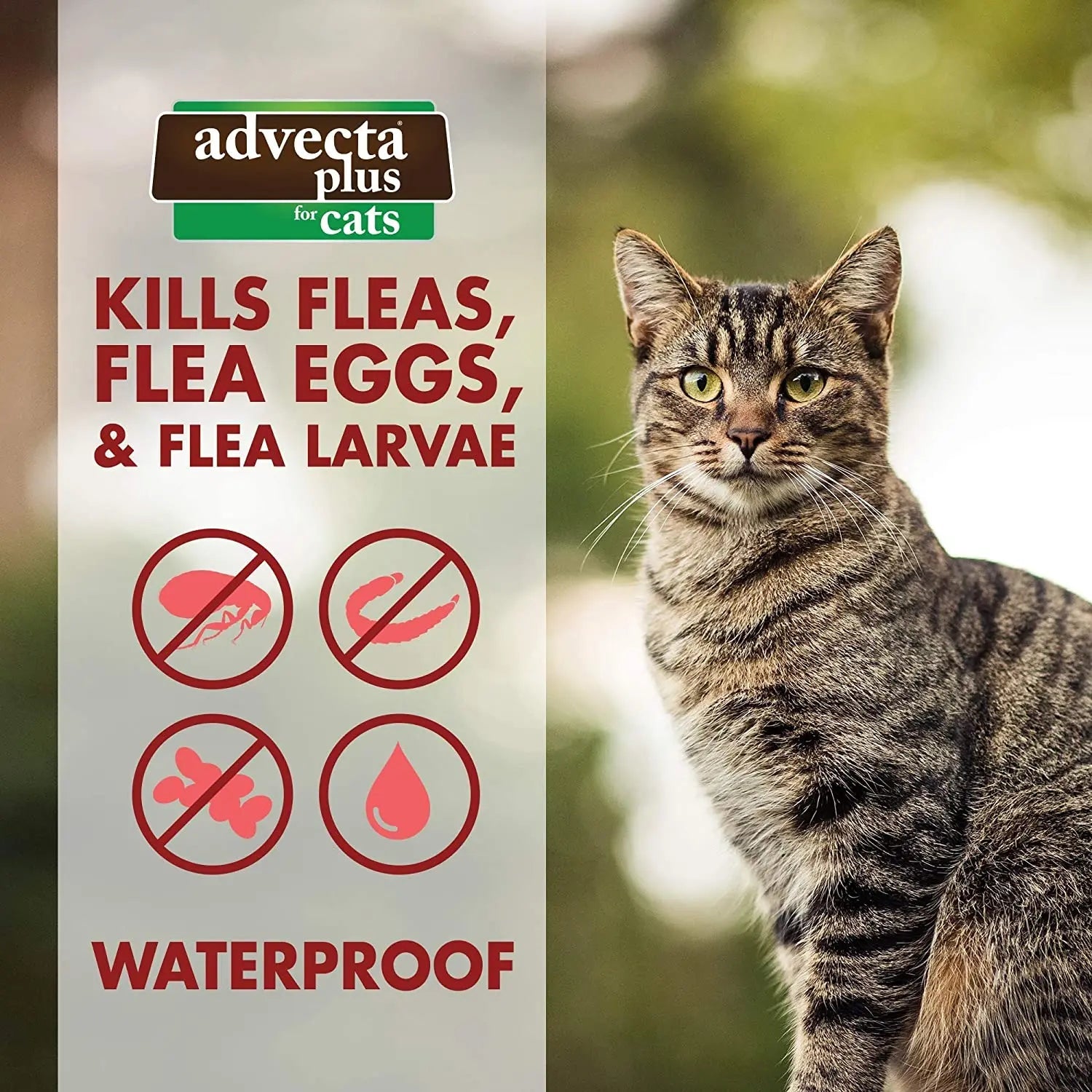 Advecta Plus Flea Protection Squeeze-On for Cats Over 9lbs 4CT