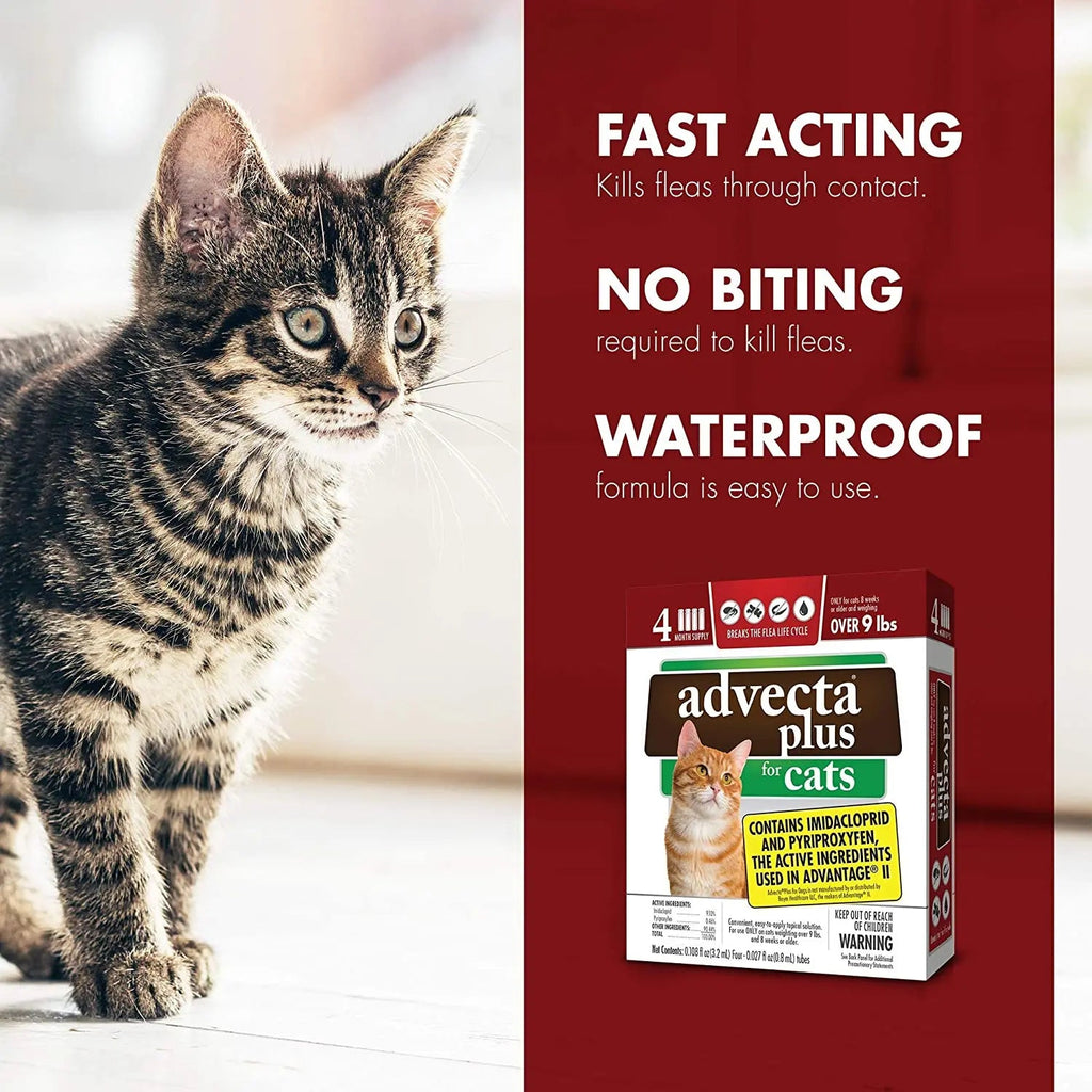 Advecta Plus Flea Protection Squeeze-On for Cats Over 9lbs 4CT