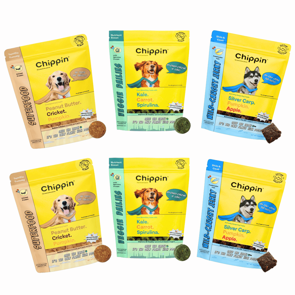 Spring Support Bundle for Dogs – Skin, Coat & Digestive Health