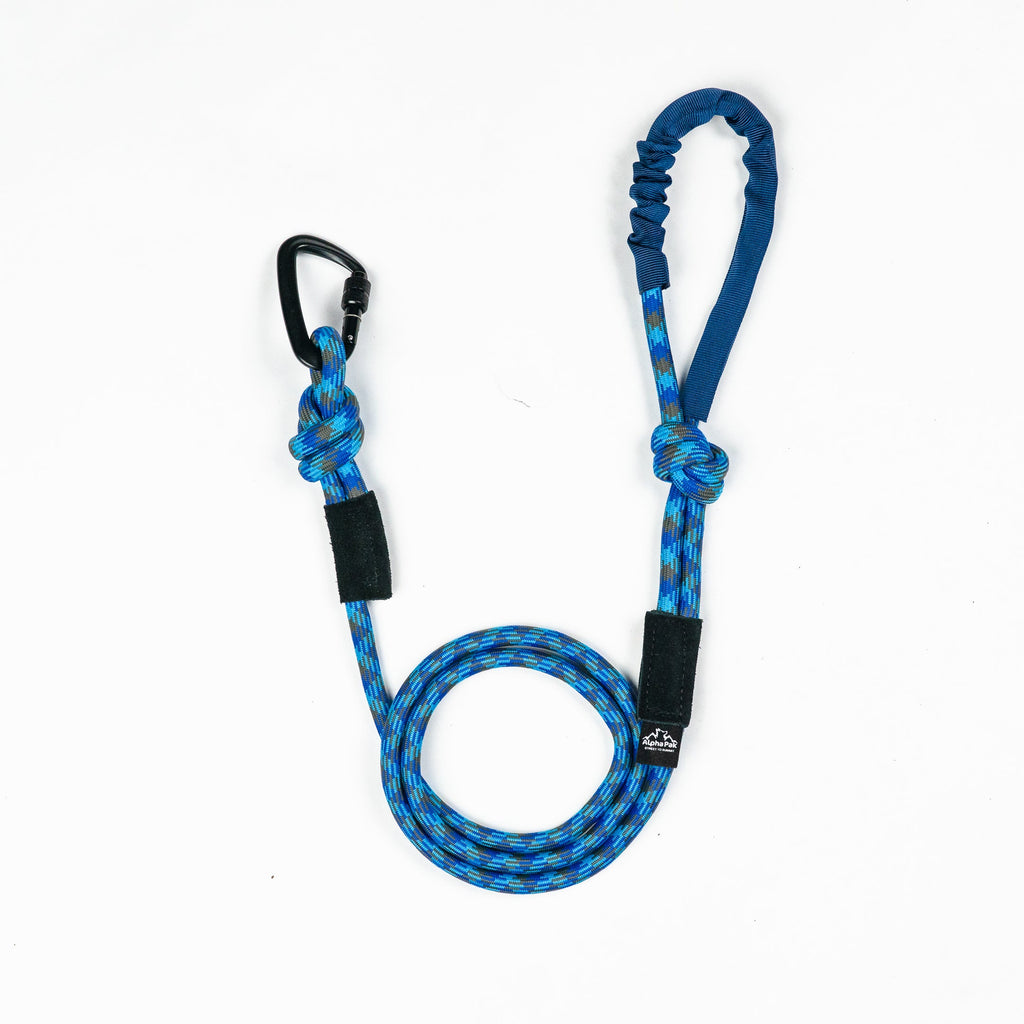 Kernmantle Climbing Rope Dog Leash with Soft Handle – Lime & Emerald