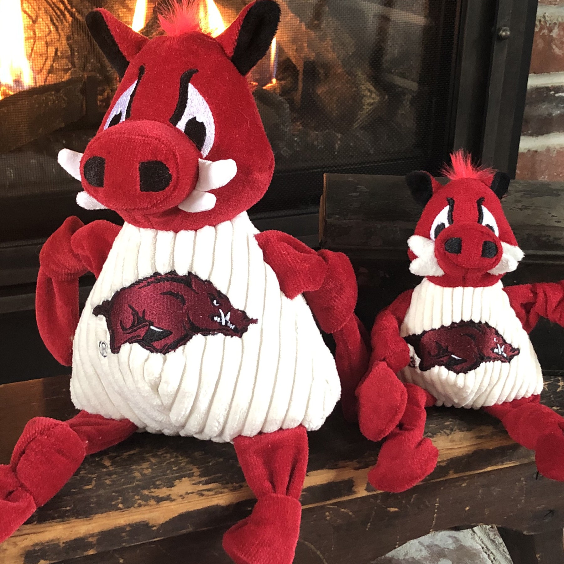 University of Arkansas Tusk Mascot Plush Dog Toy
