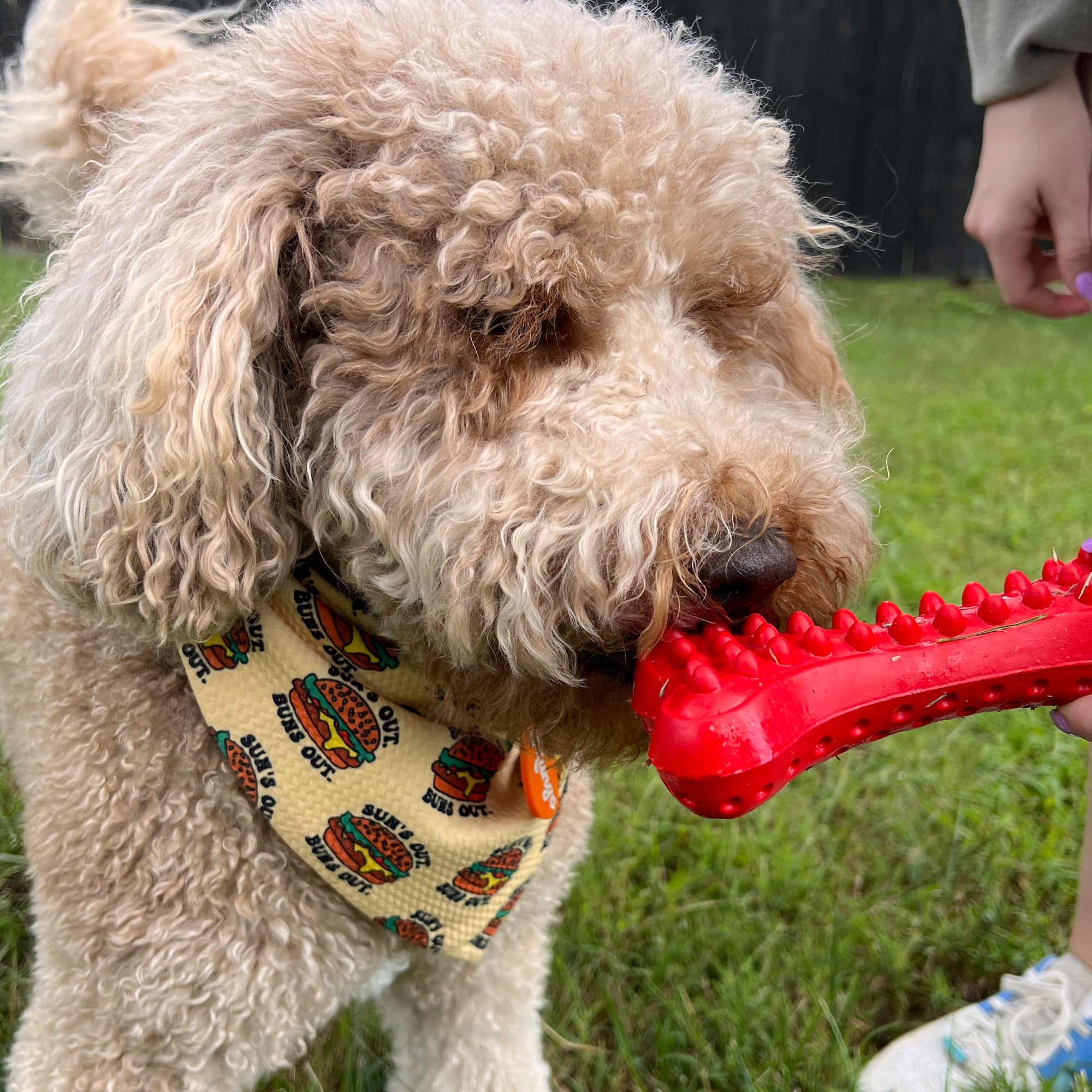 Durable Rubber Dog Chew Toy for Tough Chewers