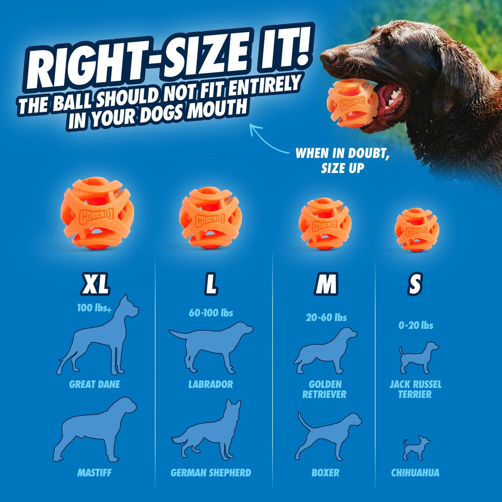 Chuckit! Air Fetch Ball Dog Toy – Mesh Design, Floats on Water