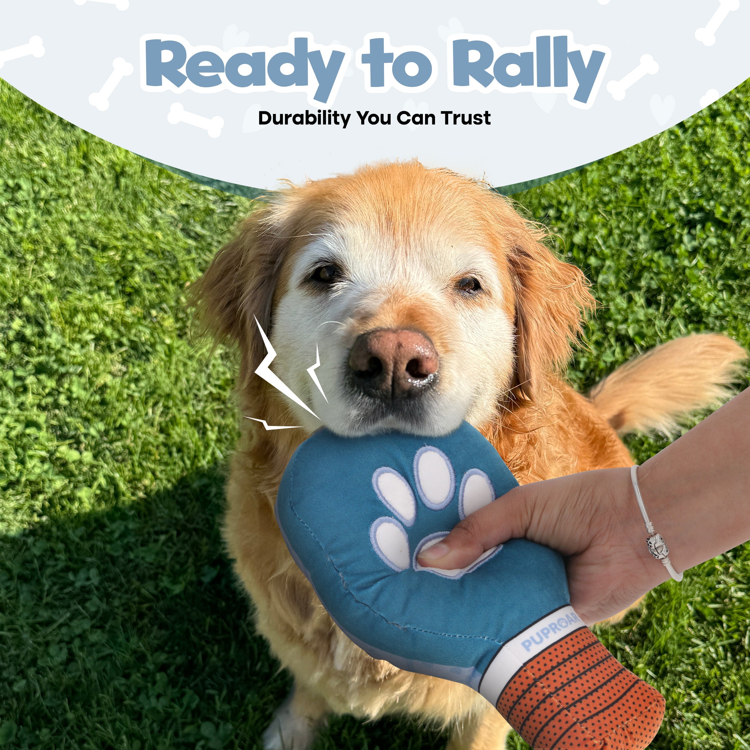 PUPROAR Pickleball Paddle Dog Toy with Squeaker and Crinkle