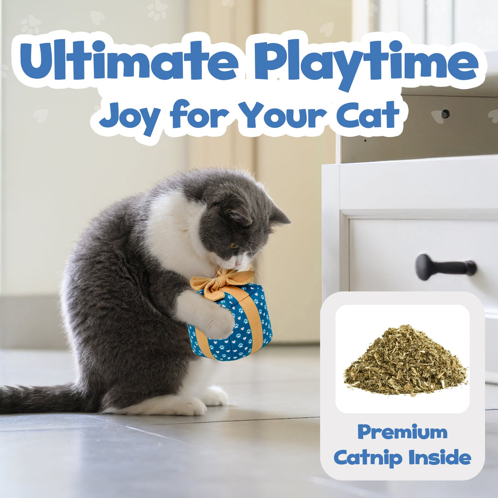 PUPROAR Gift Box Cat Toy with Catnip and Crinkle Paper