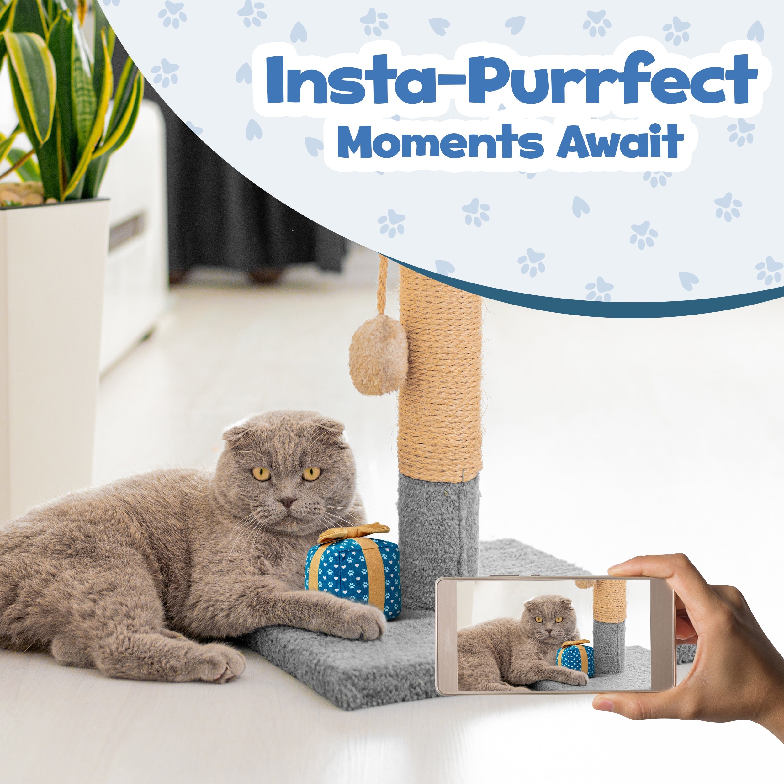 PUPROAR Gift Box Cat Toy with Catnip and Crinkle Paper