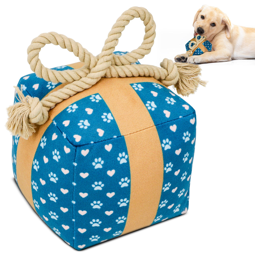 PUPROAR Gift Box Plush Dog Toy with Squeaker and Rope Bow