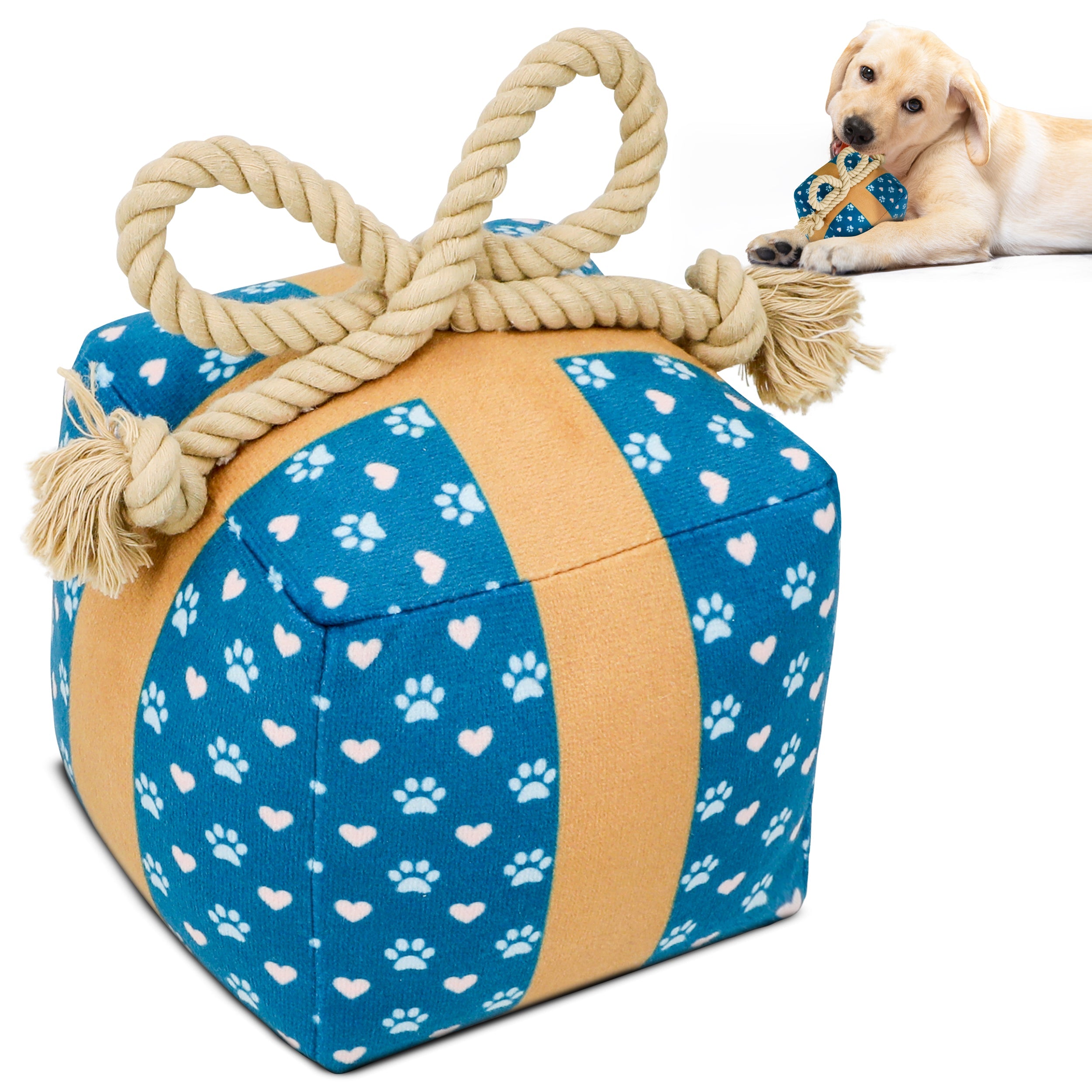 PUPROAR Gift Box Plush Dog Toy with Squeaker and Rope Bow