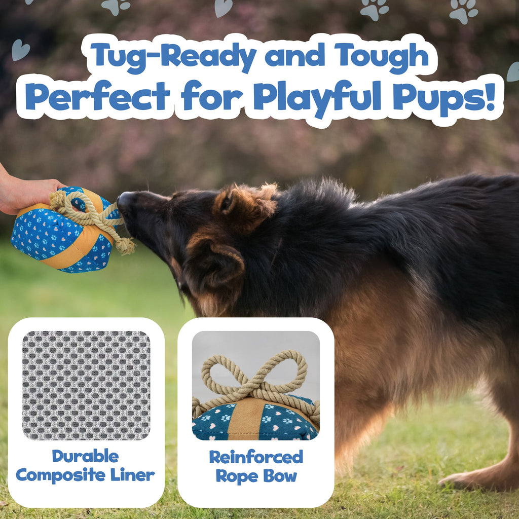 PUPROAR Gift Box Plush Dog Toy with Squeaker and Rope Bow