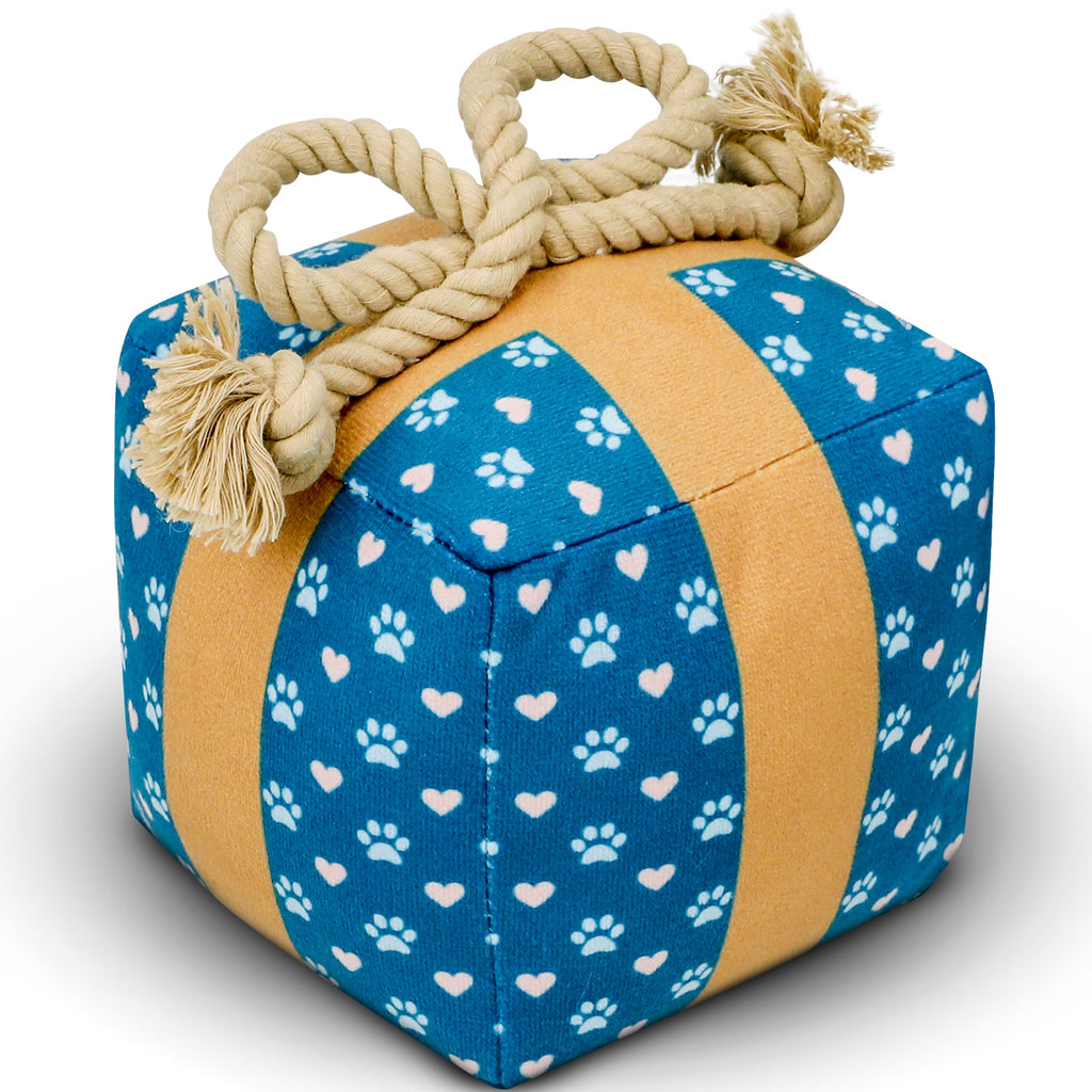 PUPROAR Gift Box Plush Dog Toy with Squeaker and Rope Bow
