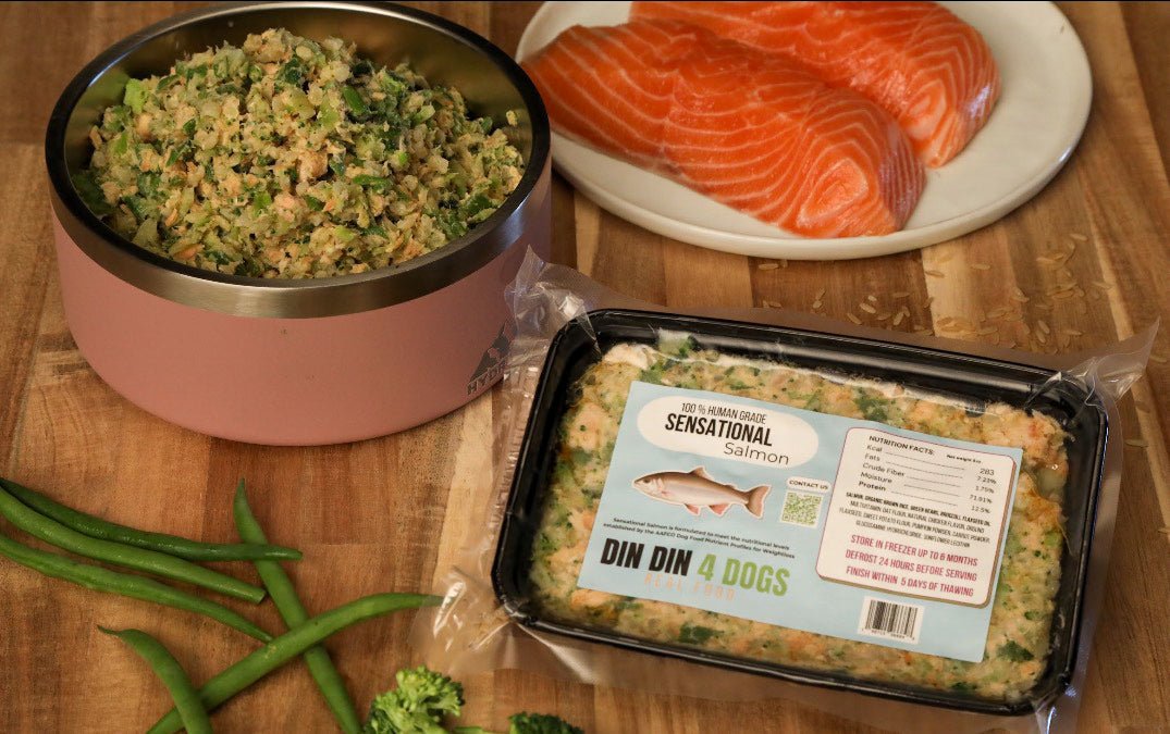 Sensational Salmon Dog Food with Brown Rice & Vegetables, 24 x 8oz Meals