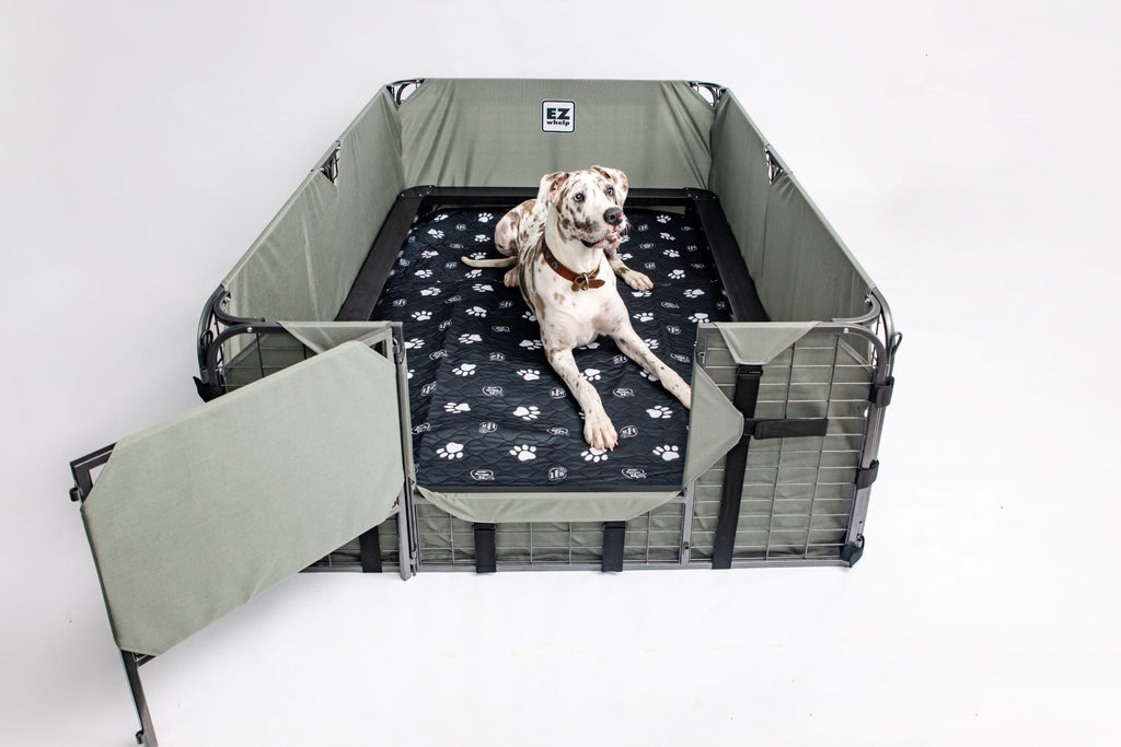 4-Layer Washable Paw Print Pet Pads, Waterproof, 2-Pack
